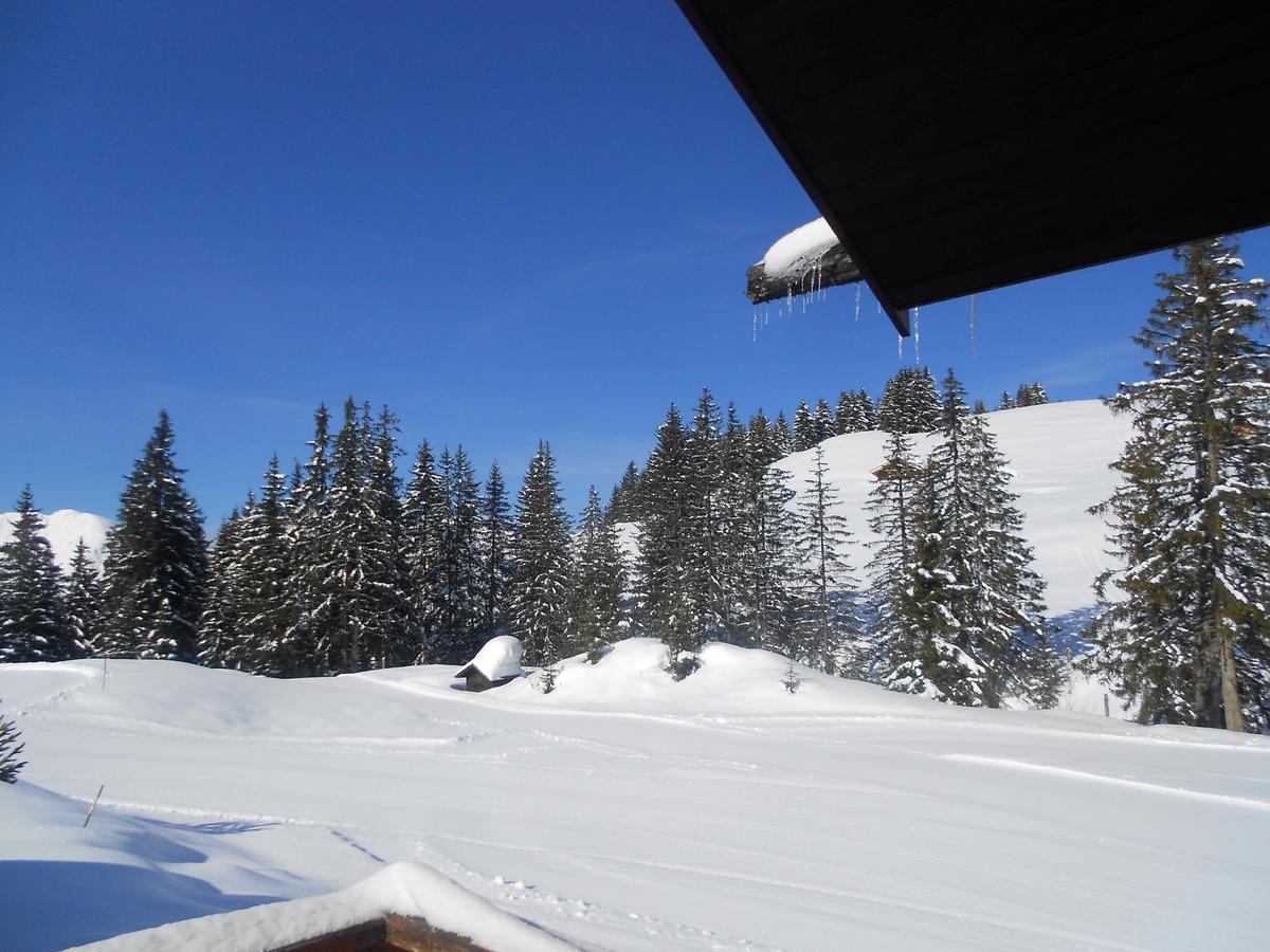 La Vieille Ferme Hotel Manigod Kültér fotó